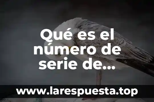Qué es el número de serie de MySolidWorks