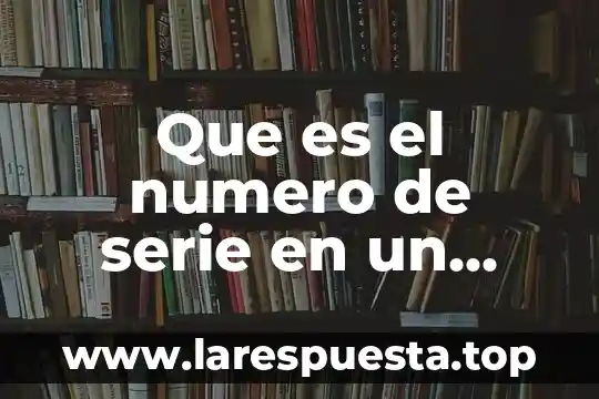 Que es el numero de serie en un carro