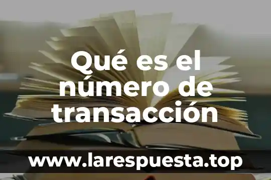 Qué es el número de transacción