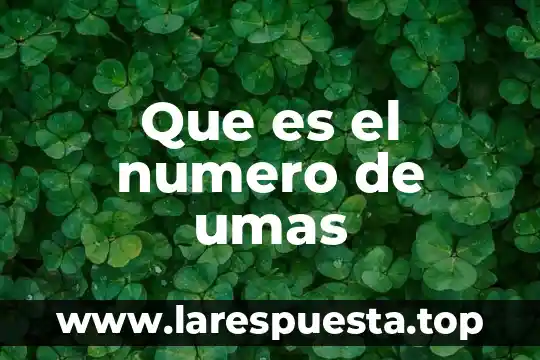 Este numero de que es 2019-03828 4 Que es el numero de umas
