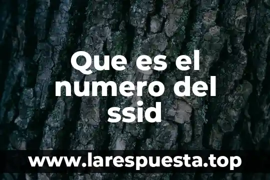 Que es el numero del ssid