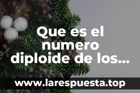Que es el numero diploide de los cromosomas