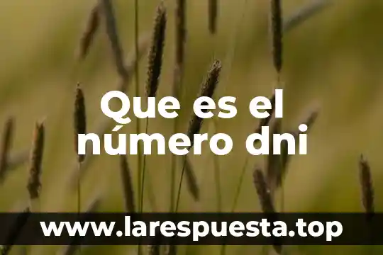 Que es el número dni