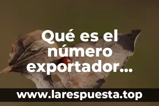 Por que es confiable la tic en el trabajo 3 Qué es el número exportador confiable