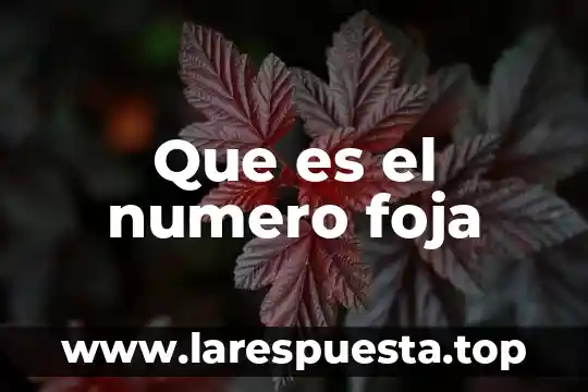 Este numero de que es 2019-03828 8 Que es el numero foja