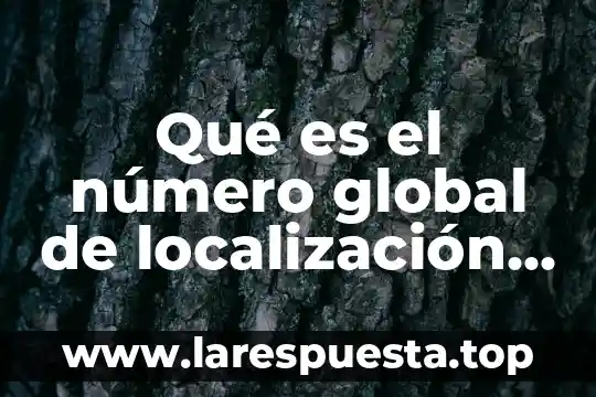 Que es el valor neto de una factura formula 4 Qué es el número global de localización en una factura