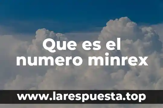 Que es el numero minrex