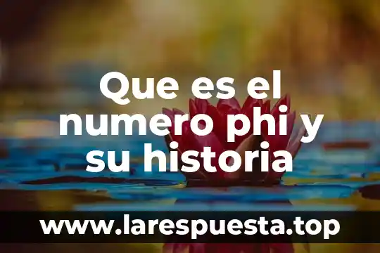 Que es número absoluto y sus caracteristicas 5 Que es el numero phi y su historia