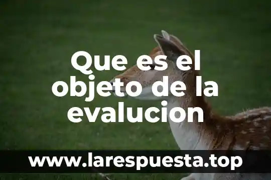 Que es objeto de pulsion 7 Que es el objeto de la evalucion