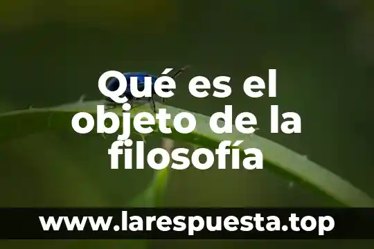 Qué es el objeto de la filosofía