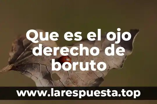 Que es el ojo derecho de boruto