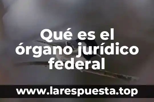 Qué es el órgano jurídico federal