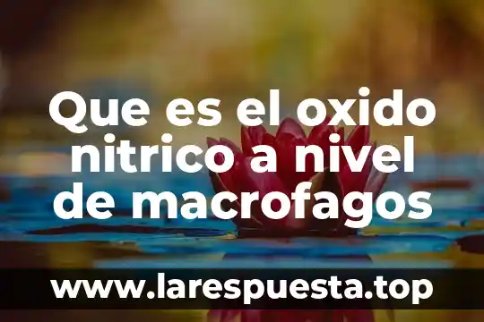 Que es nivel de dominio y diferencia nivel de pensamiento 6 Que es el oxido nitrico a nivel de macrofagos
