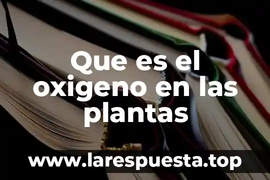 Que es la variable oxigeno disuelto industria 3 Que es el oxigeno en las plantas
