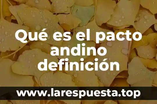 Qué es el pacto andino definición