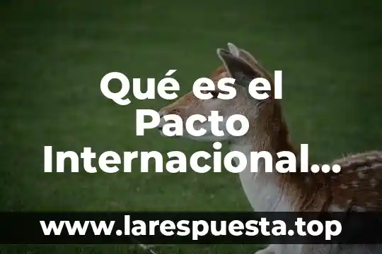 Por que es importante los recursos humanos mush galindo 6 Qué es el Pacto Internacional de Derechos Humanos