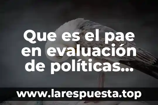 Qué es un regidor de obras públicas 3 Que es el pae en evaluación de políticas públicas