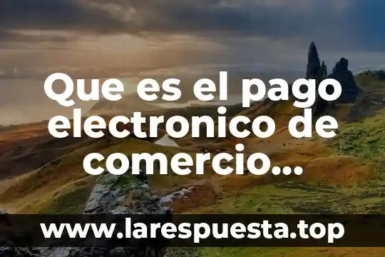 Que es el comercio electronico en facebook 5 Que es el pago electronico de comercio exterior pece