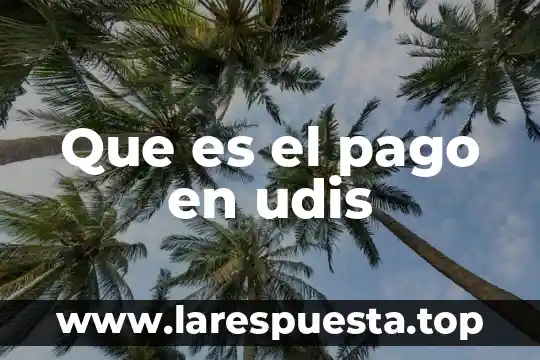 Que es pago de quinquenio 4 Que es el pago en udis