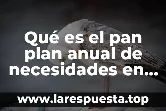 Impacto de las necesidades humanas sobre la naturaleza que es 8 Qué es el pan plan anual de necesidades en México