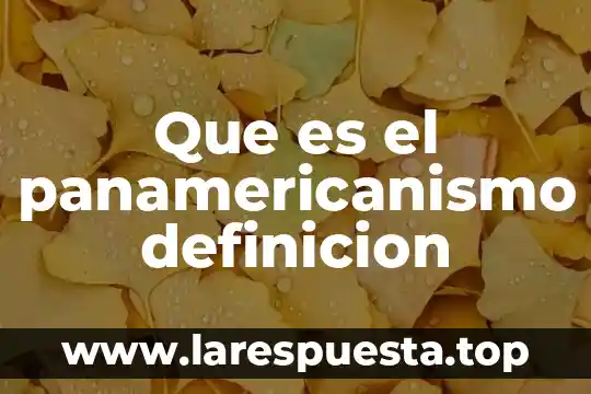 Que es el panamericanismo definicion