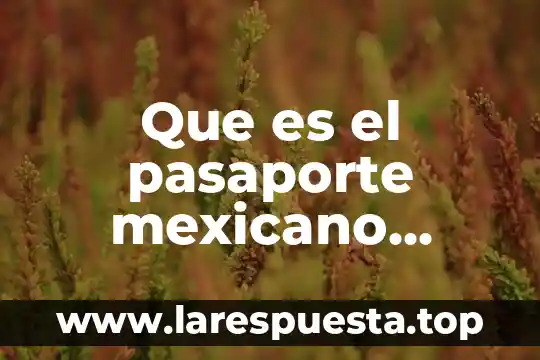 Que es una constante c++ 6 Que es el pasaporte mexicano segun lineamiento de sre