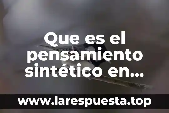 Que es el pensamiento sintético en administracion