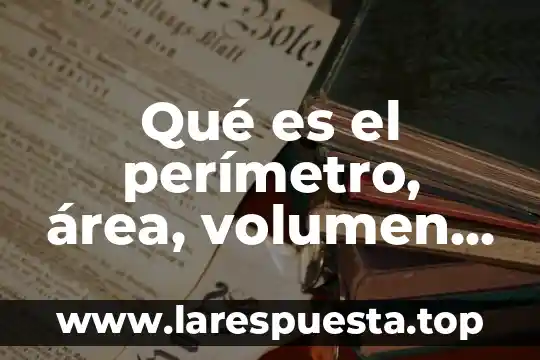 Qué es área perímetro y volumen 4 Qué es el perímetro, área, volumen y capacidad
