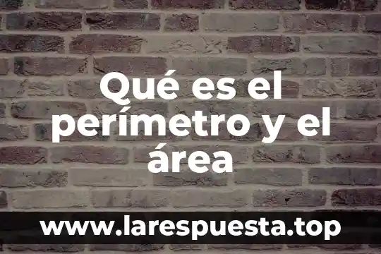 Qué es área perímetro y volumen 5 Qué es el perímetro y el área
