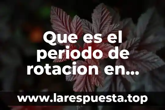 Que es el periodo de rotacion en fisica