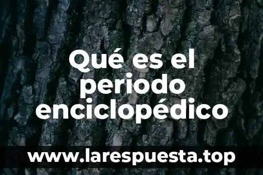 Que es el periodo prehispanico en colombia 5 Qué es el periodo enciclopédico