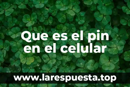 Qué es el pin de desbloqueo SIM red 6 Que es el pin en el celular