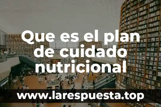 Que es la composicion nutricional de los alimentos 5 Que es el plan de cuidado nutricional