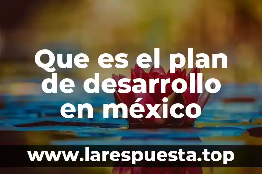 Que es desarrollo regional 7 Que es el plan de desarrollo en méxico