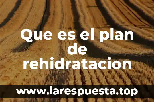 Que es diseño de plan de vida 7 Que es el plan de rehidratacion