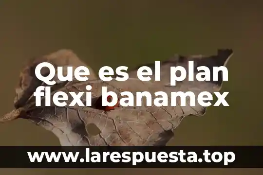 Que es el plan flexi banamex