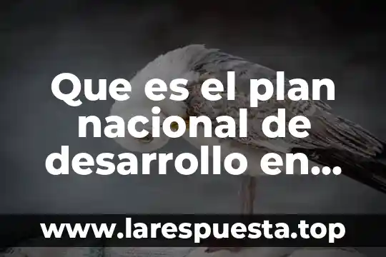 Que es la gestion en la salud 5 Que es el plan nacional de desarrollo en salud