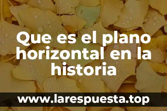 Qué es contradicción en historia 7 Que es el plano horizontal en la historia