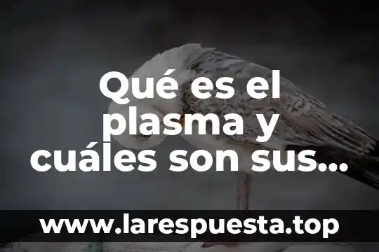 Qué es el plasma y cuáles son sus características