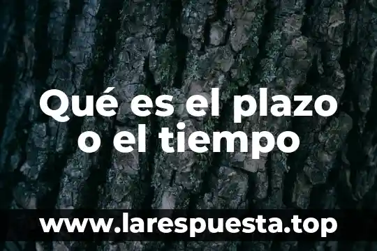 Que es costo de nomina a corto plazo 5 Qué es el plazo o el tiempo