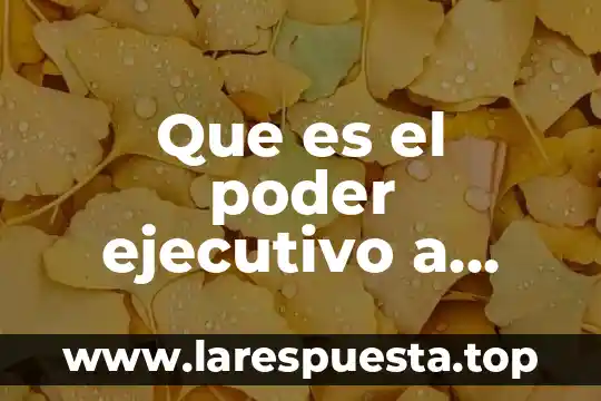 Que es una carta poder ante notario 6 Que es el poder ejecutivo a nivel nacional