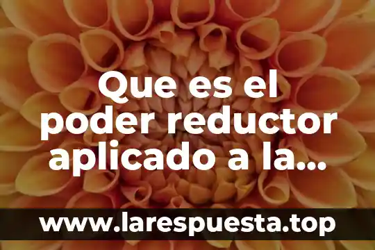 Que es una carta poder ante notario 5 Que es el poder reductor aplicado a la glucosa fehling