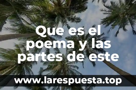 Que es una tabla estadistica y sus partes 3 Que es el poema y las partes de este