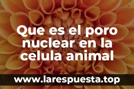 Que es el poro nuclear en la celula animal