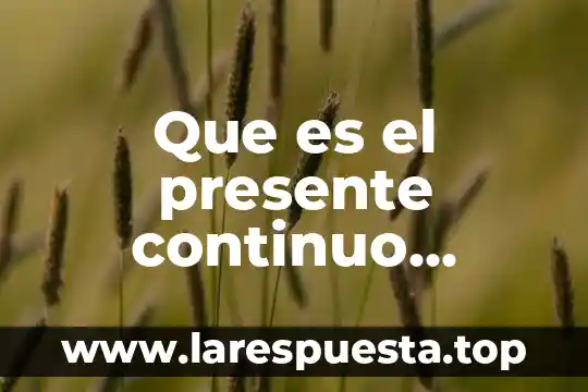 Que es el presente continuo ejemplo