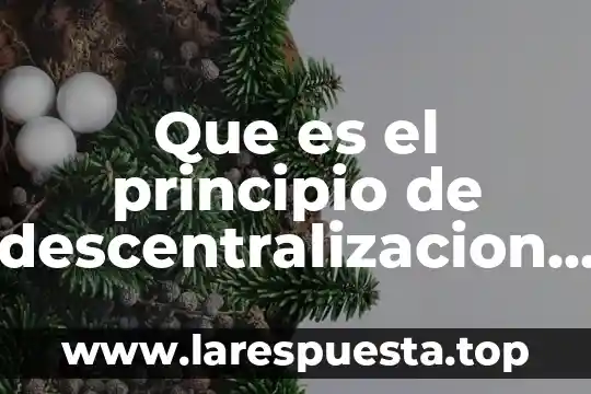 Que es el principio de descentralizacion administrativa