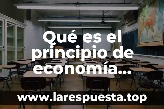 Qué es el principio de economía, eficiencia y equidad
