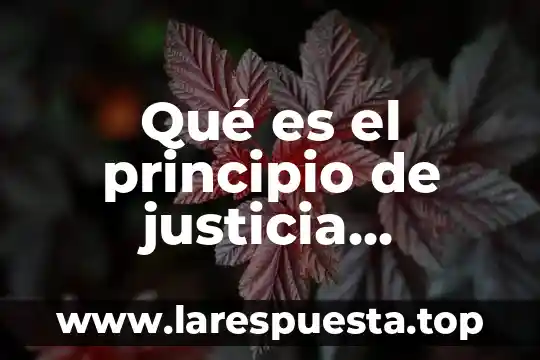 Viscose material que es 3 Qué es el principio de justicia material