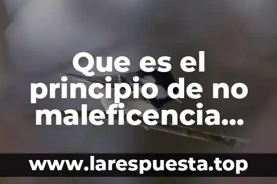 Presentación digital qué es 3 Que es el principio de no maleficencia yahoo