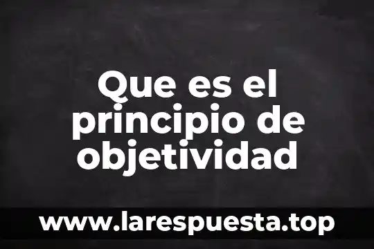 Que es el principio de objetividad